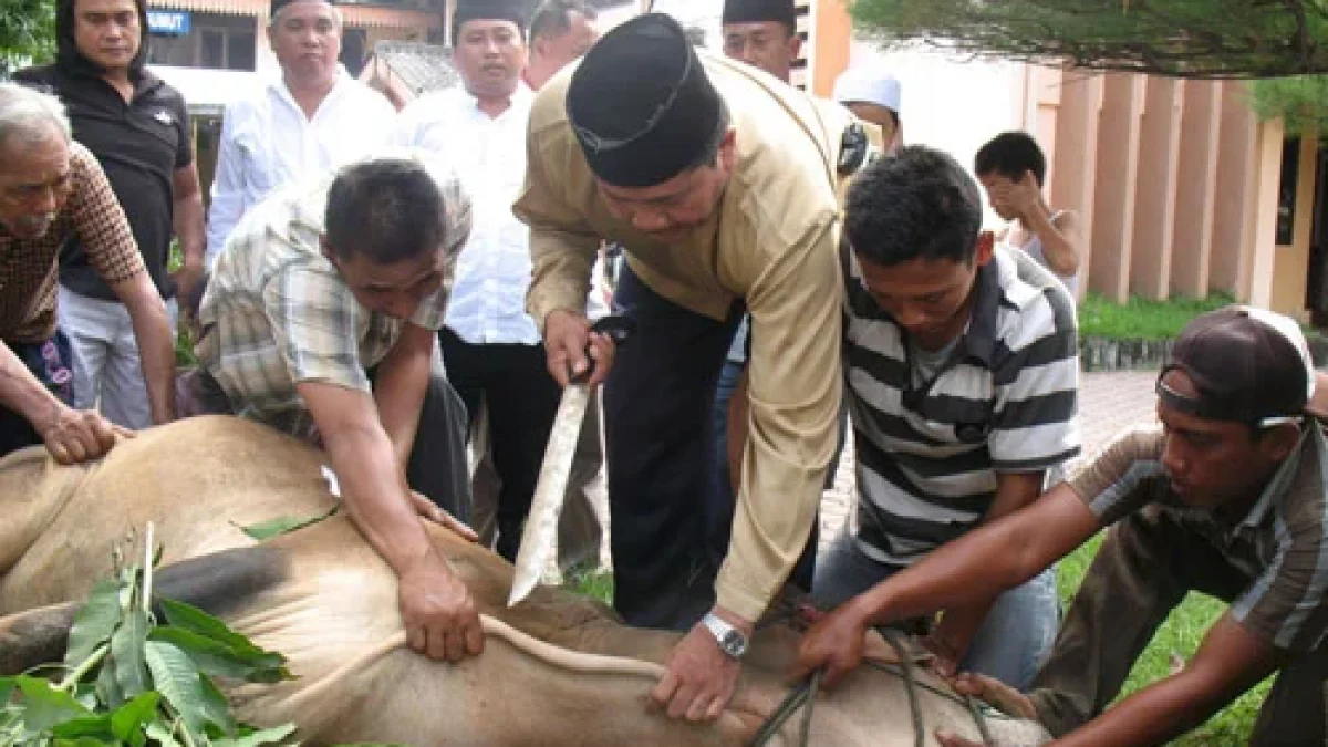 Doa dan Niat Menyembelih Hewan Kurban Idul Adha 12 September 2016