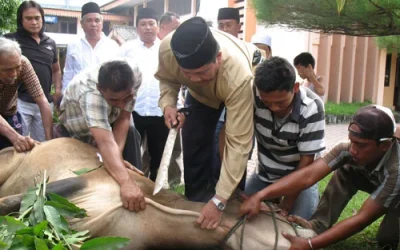 Doa dan Niat Menyembelih Hewan Kurban Idul Adha 12 September 2016