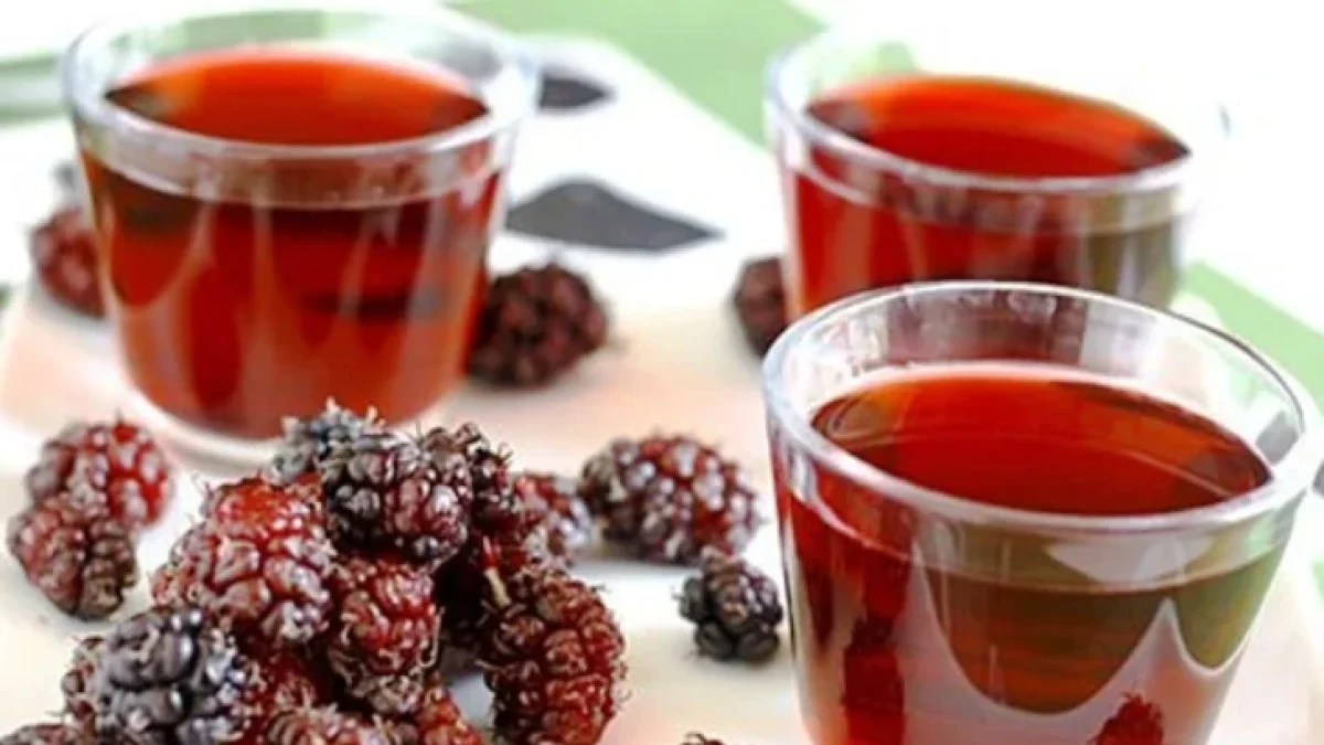 Resep dan Cara Membuat Jus Mulberry Lemon