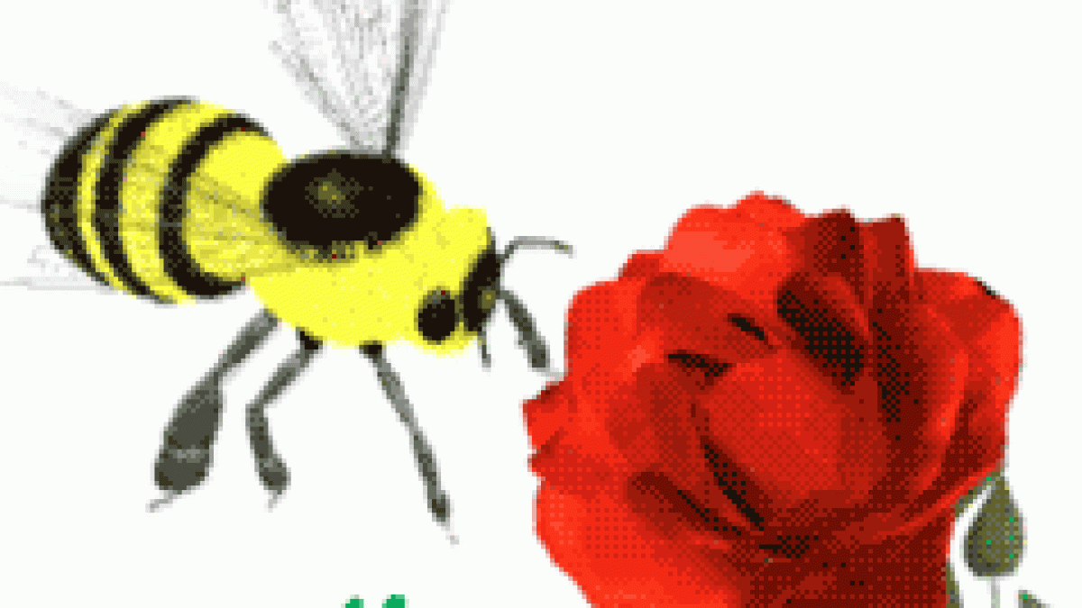 Update Gambar DP BBM Bergerak Lucu dan Gokil Terbaru