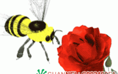 Update Gambar DP BBM Bergerak Lucu dan Gokil Terbaru
