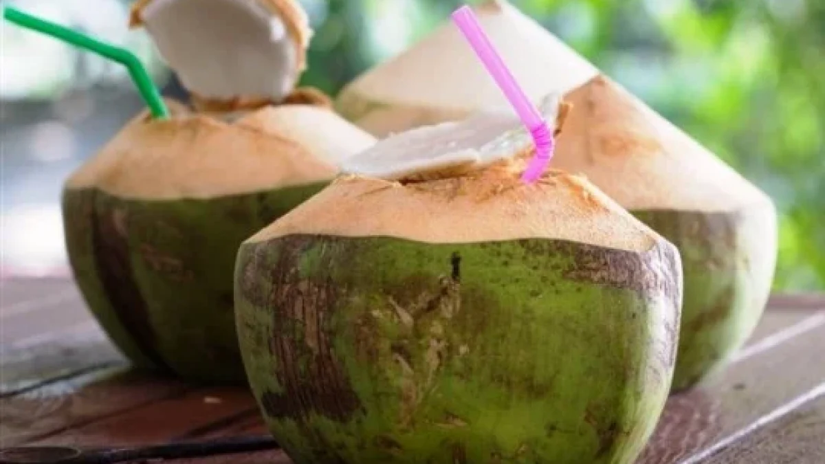 Cara Mengeluarkan Racun Dalam Tubuh