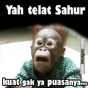 DP BBM Lucu sahur Puasa Arafah Terbaru