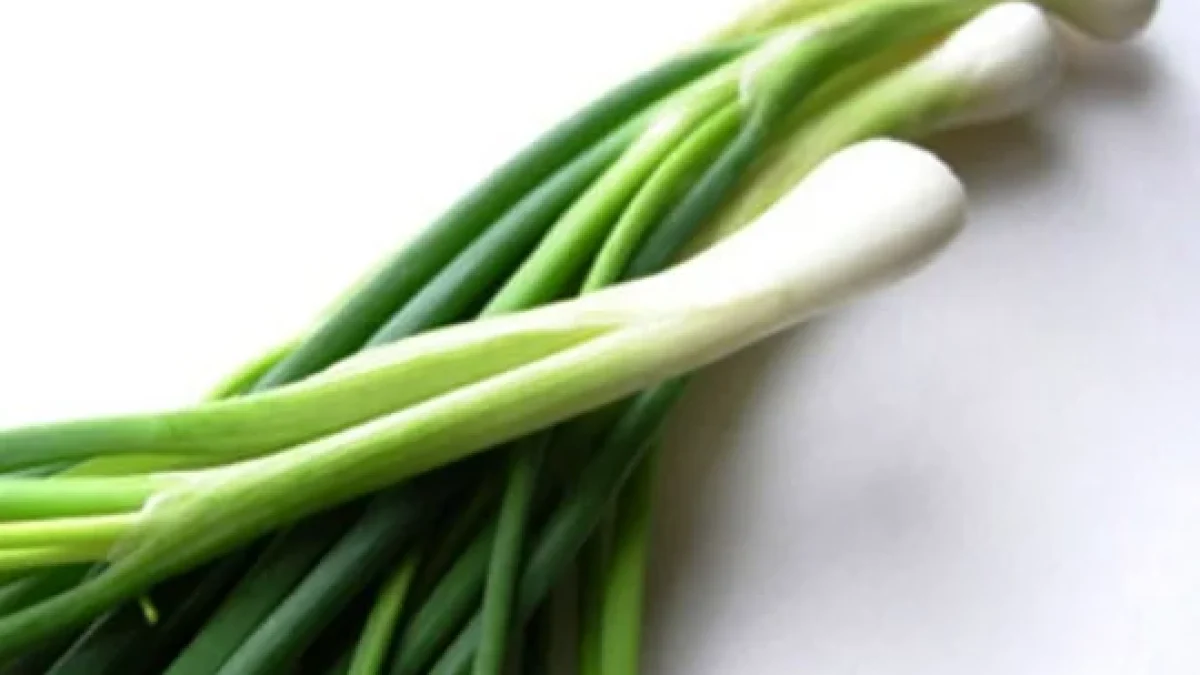 Manfaat Daun Bawang, Terdapat Khasiat Yang Bagus Untuk Kesehatan Dan Kecantikan