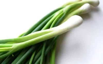 Manfaat Daun Bawang, Terdapat Khasiat Yang Bagus Untuk Kesehatan Dan Kecantikan