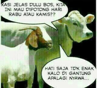 gambar-kata-kata-hewan-qurban-lucu-gokil-september-2016-3