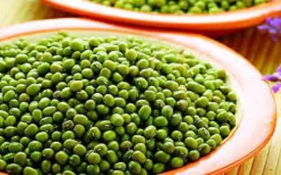 Kacang Hijau Bagi Ibu Hamil Dan Kandungan Gizinya