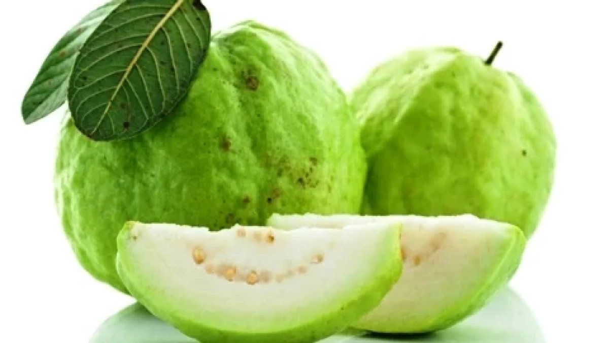 Kandungan Gizi dan Manfaat Dalam Jambu Biji