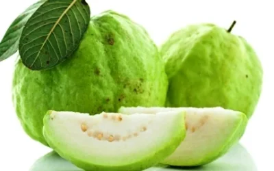 Kandungan Gizi dan Manfaat Dalam Jambu Biji