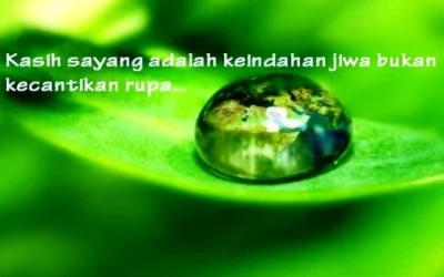 Kumpulan Kata Mutiara Tentang Cinta Yang Romantis dan Menyentuh Perasaan