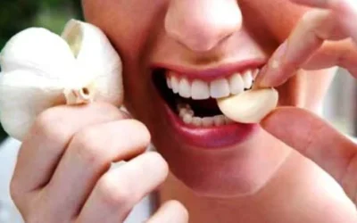 Manfaat Bawang Putih Untuk Penyakit Aljaimer