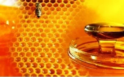 Manfaat Madu Untuk Kecantikan Dan Kesehatan