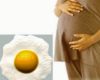 Manfaat Telur Bagi Bumil dan Menyusui, Penting Bagi Perkembangan Sistem Syaraf Dan Otak Janin