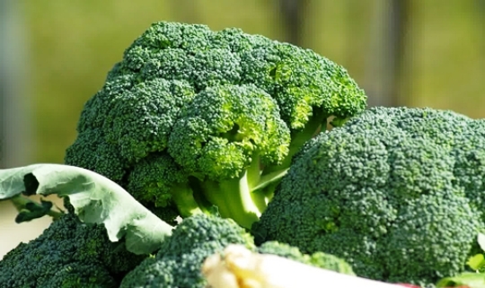 Manfaat dan Kandungan Gizi Brokoli Si Super Food