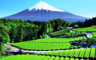 Inilah Tips Cara Menentukan Hasil Foto Horizontal Atau Vertikal, Agar Gambar Lebih Maksimal