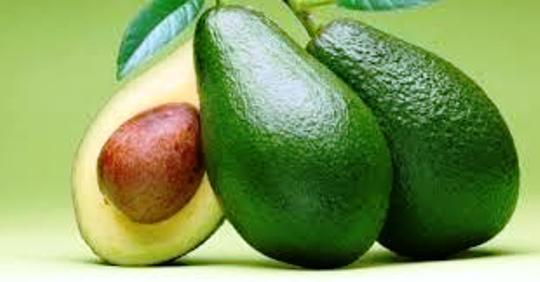  Kandungan Gizi Alpukat Dan Manfaatnya Bagi Kesehatan. Alpukat / avocado Nama ilmiah untuk buah ini adalah Persea Americana, merupakan buah yang cukup populer di Indonesia, khususnya sebagai jus. Rasa yang nikmat dan warnanya yang khas membuat buah ini gampang dikenali.  Namun, tak seperti buah yang lain, alpukat memiliki kandungan lemak dan kalori yang lebih daripada buah pada umumnya. Walaupun begitu, buah ini juga termasuk salah satu yang memiliki profil nutrisi yang tinggi dan memberikan banyak manfaat untuk kesehatan. Bagi yang ingin menggemukkan badan buah alpukat sangat cocok bila dikonsumsi setiap hari. Kandungan gizi yang ada dalam buah alpukat sangat banyak diantaranya: Yang paling mengesankan dari buah ini adalah kandungan antioksidan (karetanoid) yang dikandungnya. Tidak ada kandungan lain dalam alpukat yang melebihi kandungan karetanoid-nya. Berikut adalah daftar kandungan antioksidan karetanoid utama yang dimiliki alpukat:     alpha-carotene     beta-carotene     beta-cryptoxanthin     chrysanthemaxanthin     lutein     neochrome     neoxanthin     violaxanthin     zeaxanthin Kandungan nutrisi alpukat Dari daftar di atas saja, tidak mengherankan jika buah ini bisa memberikan support penting bagi kesehatan. Selain itu, buah alpukat mengadung serat yang cukup tinggi, yang menunjukkan kandungan nutrisi alpukat per 100 gram sajian.  Alpukat juga dianggap sebagai salah satu makanan paling sehat di planet ini karena mengandung lebih dari 25 nutrisi penting, termasuk vitamin A, B, C, E, K &, tembaga, besi, fosfor, magnesium, dan potasium. Alpukat juga mengandung serat, protein, dan beberapa phytochemical bermanfaat seperti beta-sitosterol, glutathione dan lutein, yang dapat melindungi tubuh terhadap serangan berbagai penyakit. Berikut adalah berbagai manfaat buah alpukat untuk kesehatan: Kesehatan Jantung Alpukat mengandung vitamin B6 dan asam folat, yang membantu mengatur kadar homocysteine. Tingkat tinggi homosistein dikaitkan dengan peningkatan risiko penyakit jantung. Alpukat juga mengandung vitamin E, glutathione, dan lemak tak jenuh tunggal, yang membantu dalam menjaga kesehatan jantung. Mengontrol Tekanan Darah Alpukat merupakan sumber potassium/kalium yang sangat baik, yang dapat membantu mengrontrol level tekanan darah. Anti-inflamasi Senyawa phytonutrisi yang ditemukan dalam alpukat, seperti polifenol dan flavonoid telah ditemukan memiliki sifat anti-inflamasi, sehingga mengurangi risiko gangguan inflamasi dan degeneratif. Menurunkan Kadar Kolesterol Alpukat kaya akan senyawa yang disebut beta-sitosterol yang telah terbukti efektif dalam menurunkan kadar kolesterol darah. Menurut sebuah penelitian, pasien dengan hiperkolesterolemia ringan yang memasukkan alpukat dalam diet mereka selama 7 hari memiliki total 17 persen penurunan kadar kolesterol darah, penurunan 22 persen di kedua LDL (kolesterol jahat) dan trigliserida, dan peningkatan 11 persen dalam tingkat HDL (kolesterol baik). Kesehatan Mata Alpukat adalah sumber lutein karotenoid, yang dikenal dapat membantu melindungi terhadap degenerasi makula dan katarak yang berhubungan dengan usia. Itulah kandungan yang ada dalam buah alpukat. Kita tidak perlu takut dalam konsumsi buah alpukat karena membuat tubuh menjadi gemuk. Sebenarnya yang membuat alpukat menjadi gemuk bila dikonsumsi adalah jenis makanan yang ditambahkan pada saat penyajian buah alpukat (susu, krimmer, gula). [Yuni – WartaSolo.com]