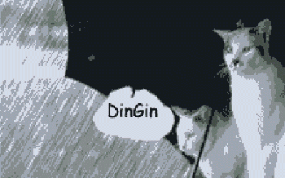 Caption DP BBM Kata-Kata Hujan Gambar Animasi Bergerak Meme Hewan Lucu Keren dan Gokil