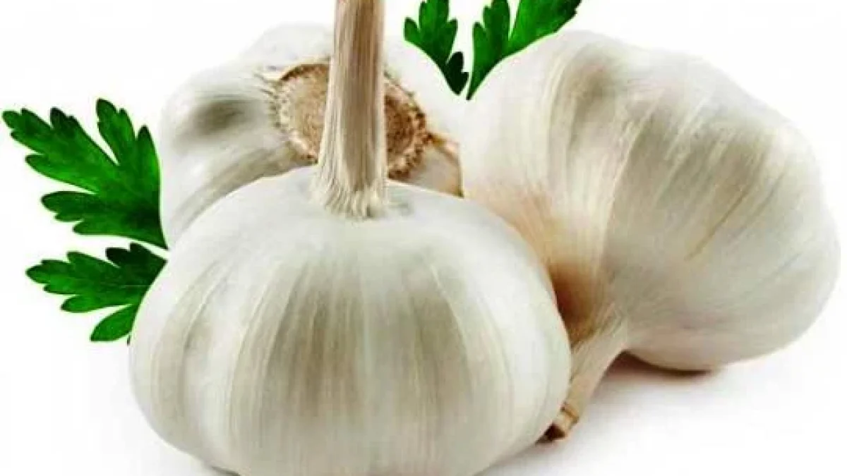 Bahaya Konsumsi Bawang Putih Mentah