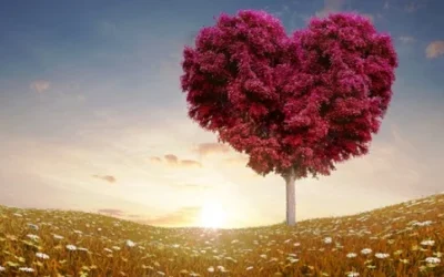 Kumpulan DP BBM Bergerak Kata Romantis Terbaru