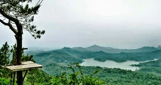 Tempat Wisata di Jogja yang bagus untuk Selfie:  Hutan Kalibiru Kulon Progo Yogyakarta, Indahnya Wisata Alam