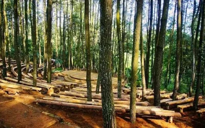 Tempat Wisata di Jogja yang sering digunkanan untuk Selfie dan Pre wedding: Hutan Pinus Imogiri Bantul