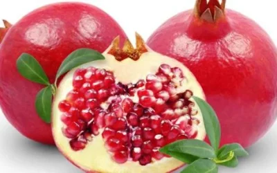 Manfaat Buah Delima (Pomegranate) Untuk Kesehatan Dan Kecantikan
