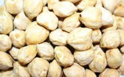 Manfaat Kemiri Untuk Kecantikan, Kesehatan Dan Rambut
