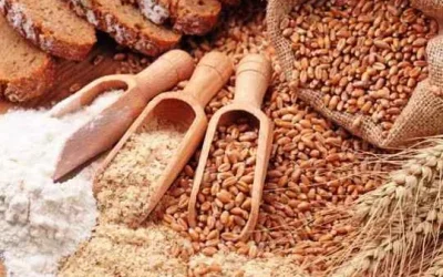 Manfaat Mengkonsumsi Gandum Utuh