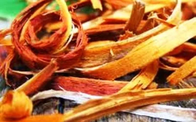 Manfaat Kulit Kayu Secang Untuk Kulit Bayi