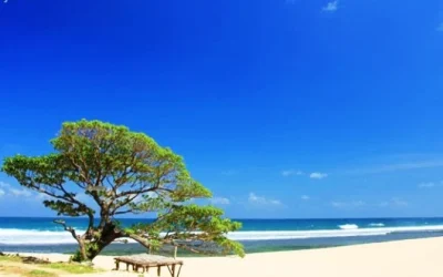 Tempat Wisata di Jogja yang sering digunakan untuk Selfie: Pantai Poktunggal Yogyakarta