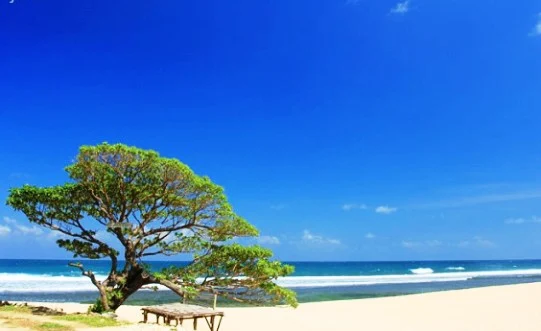 Tempat Wisata di Jogja yang sering digunakan untuk Selfie: Pantai Poktunggal Yogyakarta