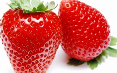10 Macam Buah Dan Sayur Yang Berwarna Merah Beserta Khasiatnya