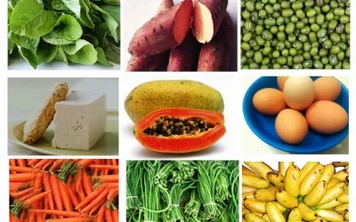 Makanan Terbaik Penyubur Kandungan Agar Anda Cepat Hamil