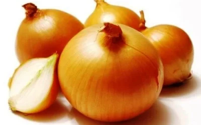 Manfaat Bawang Bombay dan Kandungan Gizinya