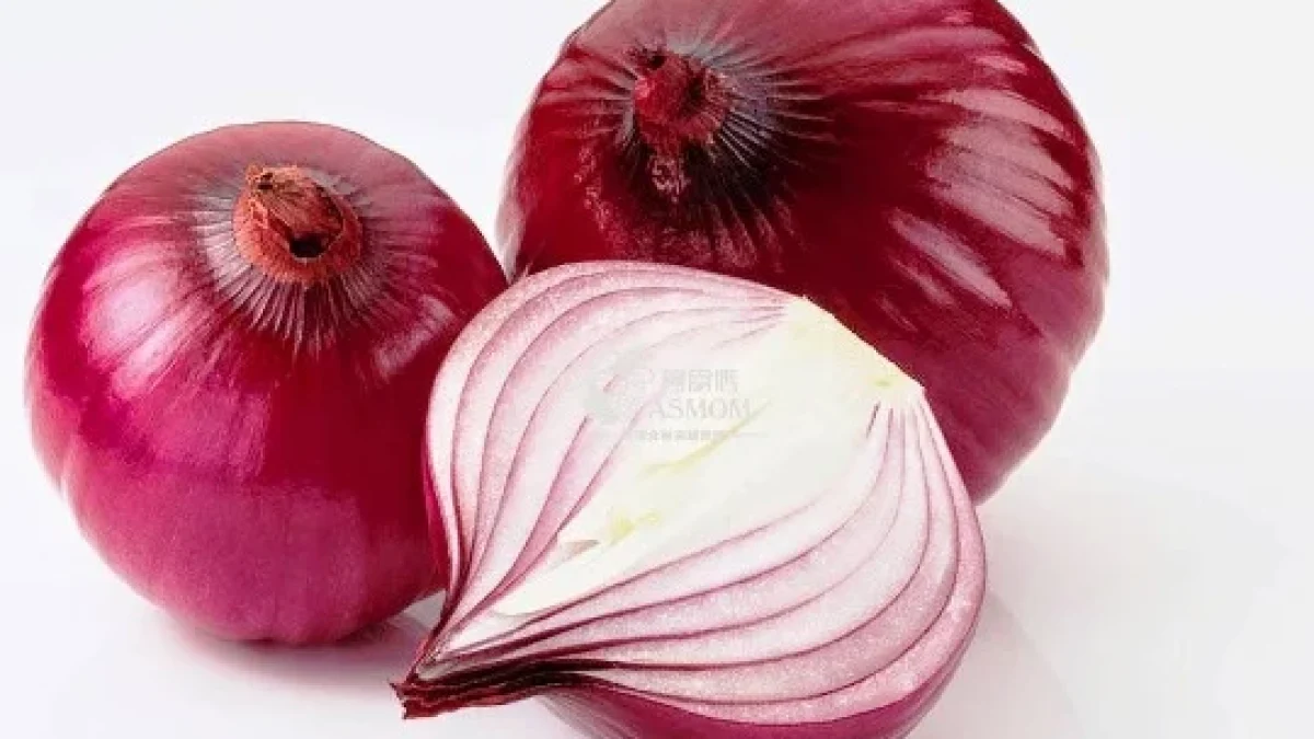 Manfaat Bawang Merah Dan Kandungan Gizinya