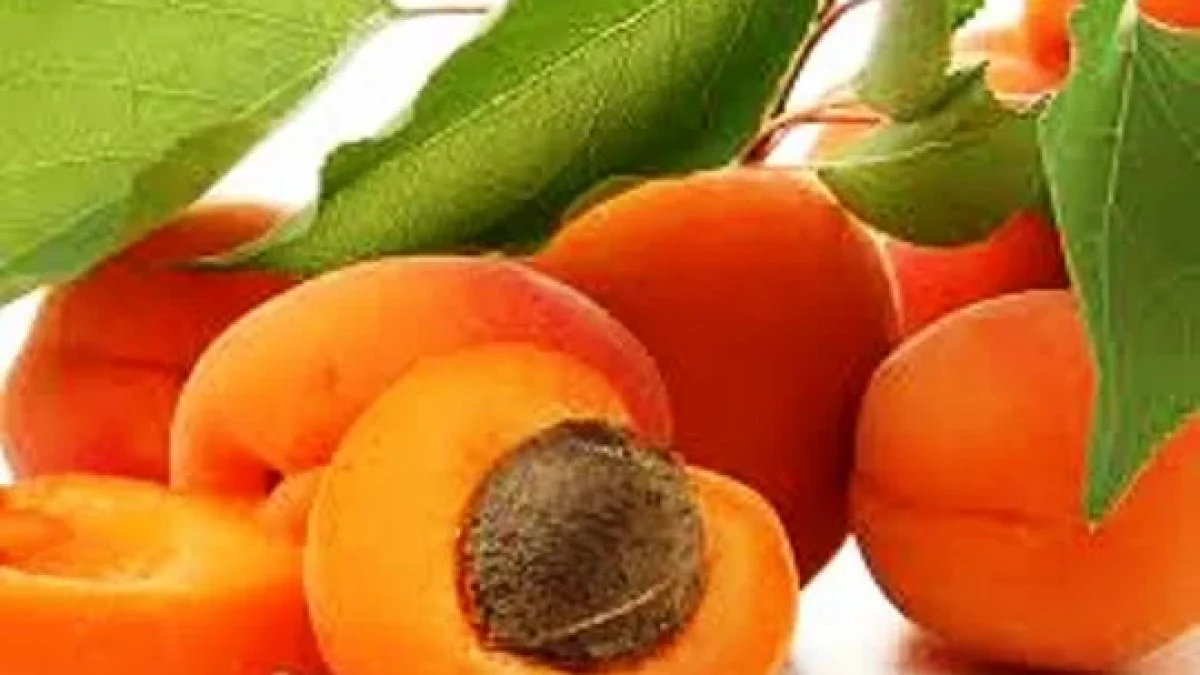 Manfaat Buah Aprikot Bagi Kesehatan.
