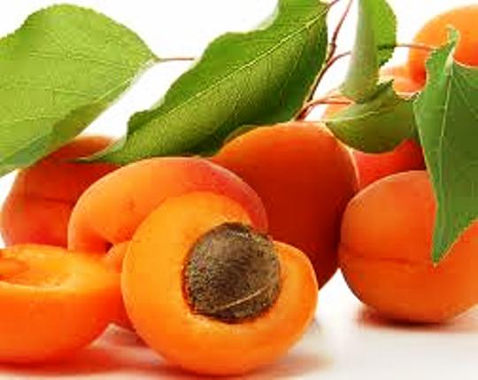 manfaat buah aprikot bagi kesehatan