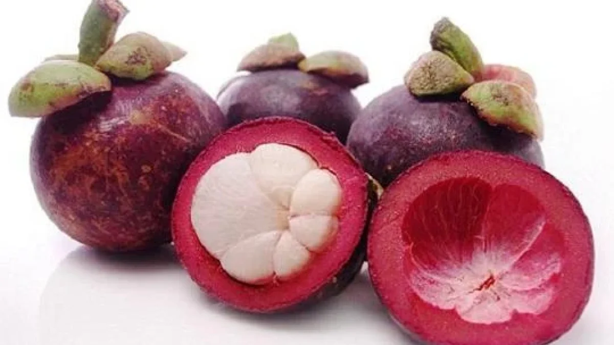 Manfaat Buah Manggis: Melancarkan Peredaran Darah Hingga Kecantikan