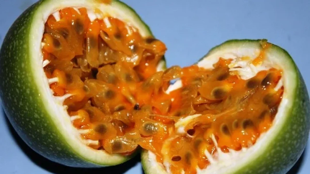 Manfaat Buah Markisa Untuk Kesehatan Dan Kecantikan