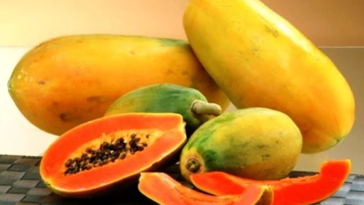 Manfaat Buah Pepaya Untuk Kesehatan