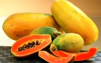 Manfaat Buah Pepaya Untuk Kesehatan