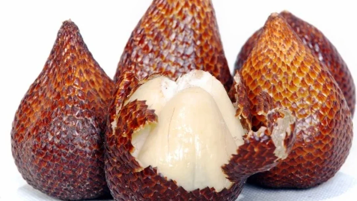 Manfaat Buah Salak