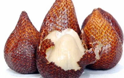 Manfaat Buah Salak