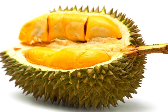 manfaat dan bahaya buah durian