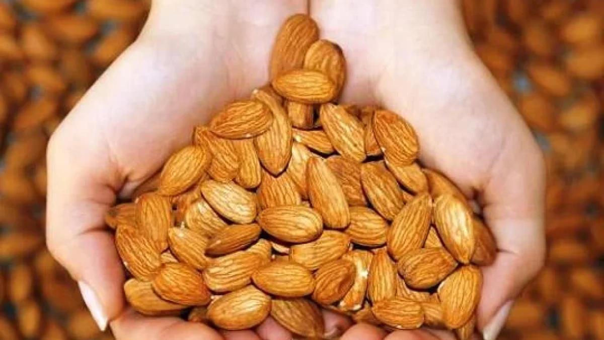 Manfaat Kacang Almond, Baik Untuk Otak Dan Jantung