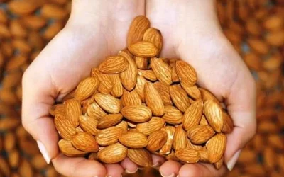 Manfaat Kacang Almond, Baik Untuk Otak Dan Jantung