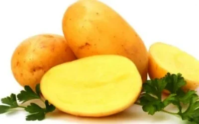 Manfaat Kentang Bagi Kesehatan Tubuh