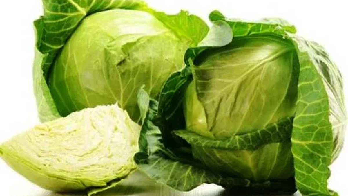Manfaat Kubis Bagi Kesehatan Tubuh
