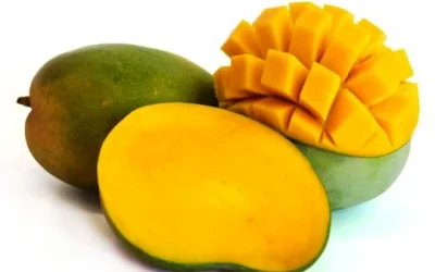 Manfaat Mangga untuk Kesehatan