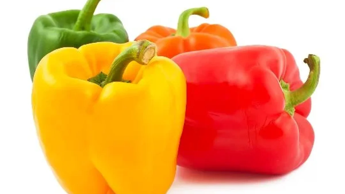 Manfaat Paprika Untuk Mengontrol Diabetes